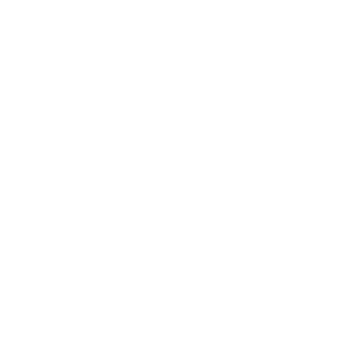 plane icon
